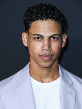 Hailey Nguyen avatar